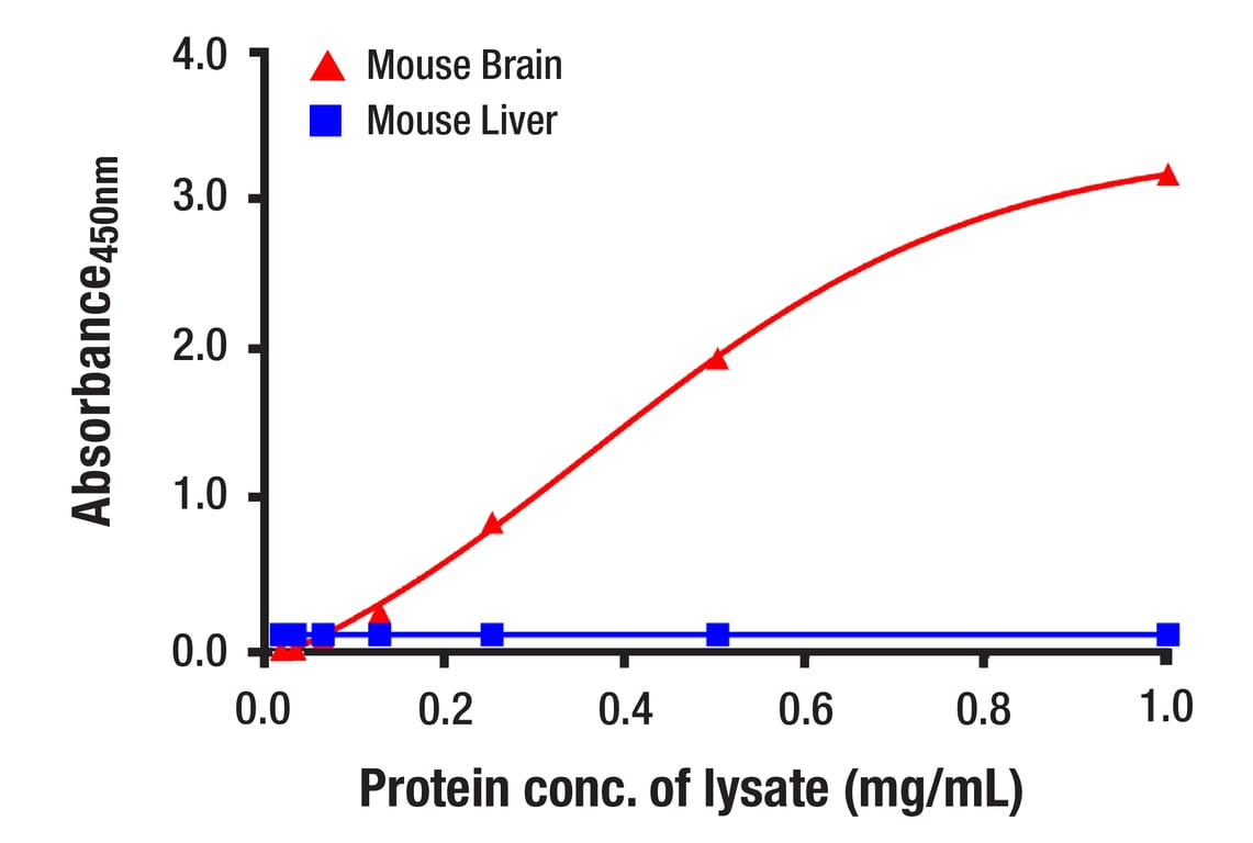 Total Enolase Matched Antibody Pair Cell Signaling Technology