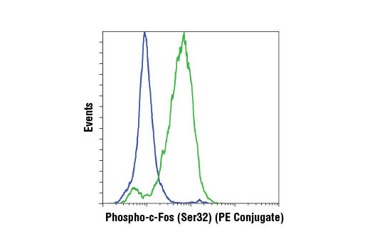 Flow Cytometry Image 1: Phospho-c-Fos (Ser32) (D82C12) XP® Rabbit mAb (PE Conjugate)