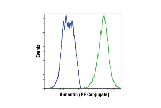 Flow Cytometry Image 1: Vimentin (D21H3) XP® Rabbit mAb (PE Conjugate)