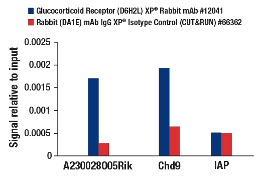 CUT and RUN Image 3: Glucocorticoid Receptor (D6H2L) XP® Rabbit mAb
