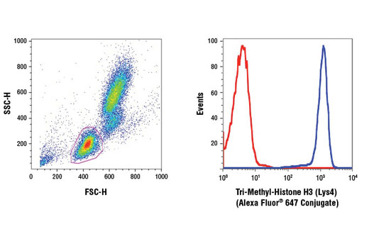 Flow Cytometry Image 1: Tri-Methyl-Histone H3 (Lys4) (C42D8) Rabbit mAb (Alexa Fluor® 647 Conjugate)
