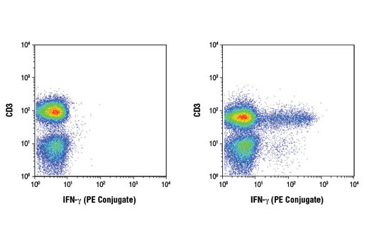 Flow Cytometry Image 1: IFN-γ (D3H2) XP® Rabbit mAb (PE Conjugate)