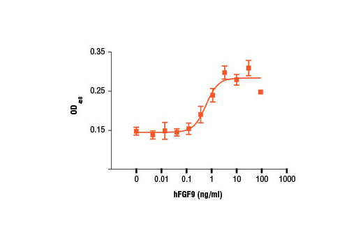  Image 1: Human Fibroblast Growth Factor 9 (hFGF9)