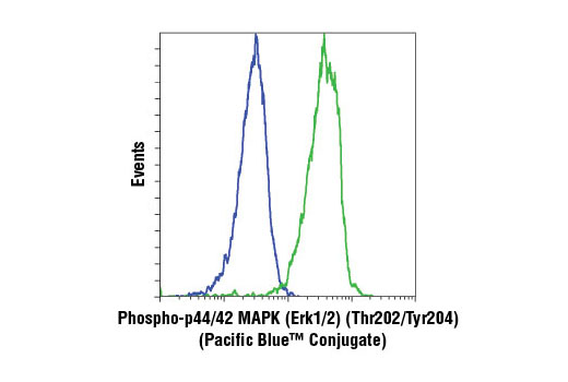 Flow Cytometry Image 1: Phospho-p44/42 MAPK (Erk1/2) (Thr202/Tyr204) (D13.14.4E) XP® Rabbit mAb (Pacific Blue™ Conjugate)