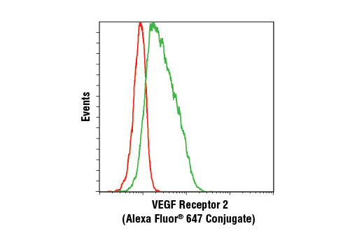Flow Cytometry Image 1: VEGF Receptor 2 (D5B1) Rabbit mAb (Alexa Fluor® 647 Conjugate) 