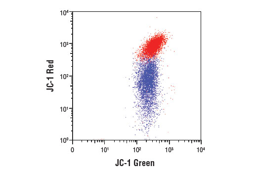 Flow Cytometry Image 1: Mitochondrial Membrane Potential Assay Kit (I)