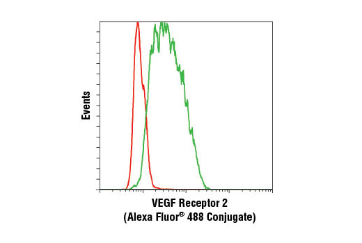 Flow Cytometry Image 1: VEGF Receptor 2 (D5B1) Rabbit mAb (Alexa Fluor® 488 Conjugate)