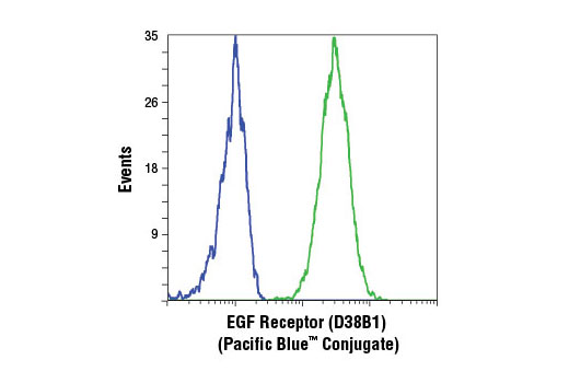 Flow Cytometry Image 1: EGF Receptor (D38B1) XP® Rabbit mAb (Pacific Blue™ Conjugate)