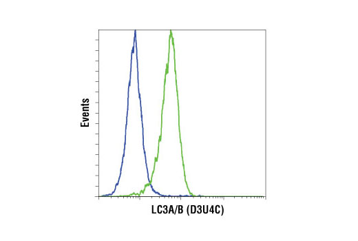 Flow Cytometry Image 1: LC3A/B (D3U4C) XP® Rabbit mAb (BSA and Azide Free)