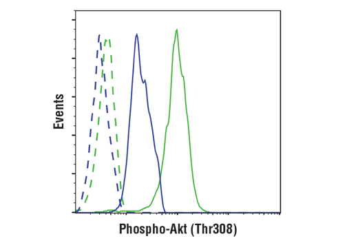 Flow Cytometry Image 1: Phospho-Akt (Thr308) (D25E6) XP® Rabbit mAb