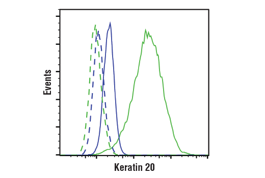 Flow Cytometry Image 1: Keratin 20 (D9Z1Z) XP® Rabbit mAb (BSA and Azide Free)