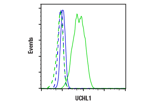 Flow Cytometry Image 1: UCHL1 (D3T2E) XP® Rabbit mAb