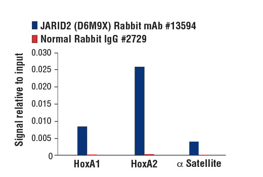 Chromatin Immunoprecipitation Image 3: JARID2 (D6M9X) Rabbit mAb