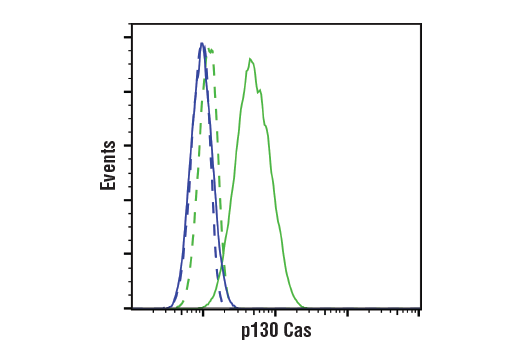 Flow Cytometry Image 1: p130 Cas (E1L9H) Rabbit mAb