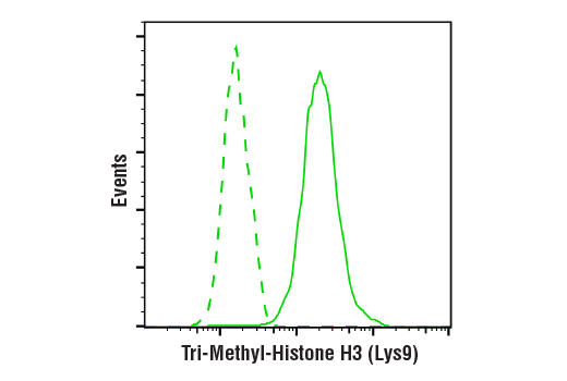  Image 20: Methyl-Histone H3 (Lys9) Antibody Sampler Kit
