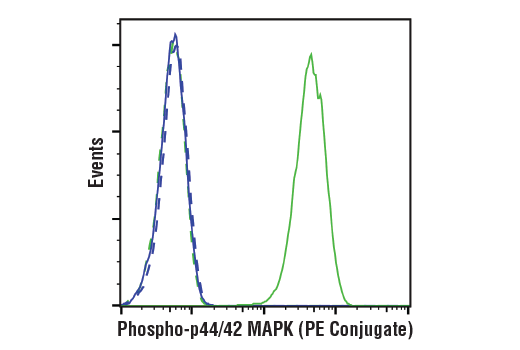 Flow Cytometry Image 1: Phospho-p44/42 MAPK (Erk1/2) (Thr202/Tyr204) (197G2) Rabbit mAb (PE Conjugate)