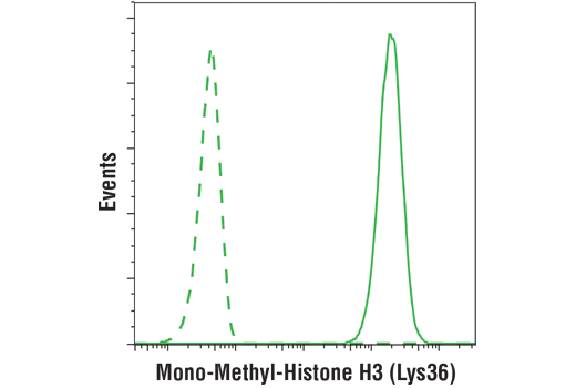 Flow Cytometry Image 1: Mono-Methyl-Histone H3 (Lys36) (D9J1D) Rabbit mAb
