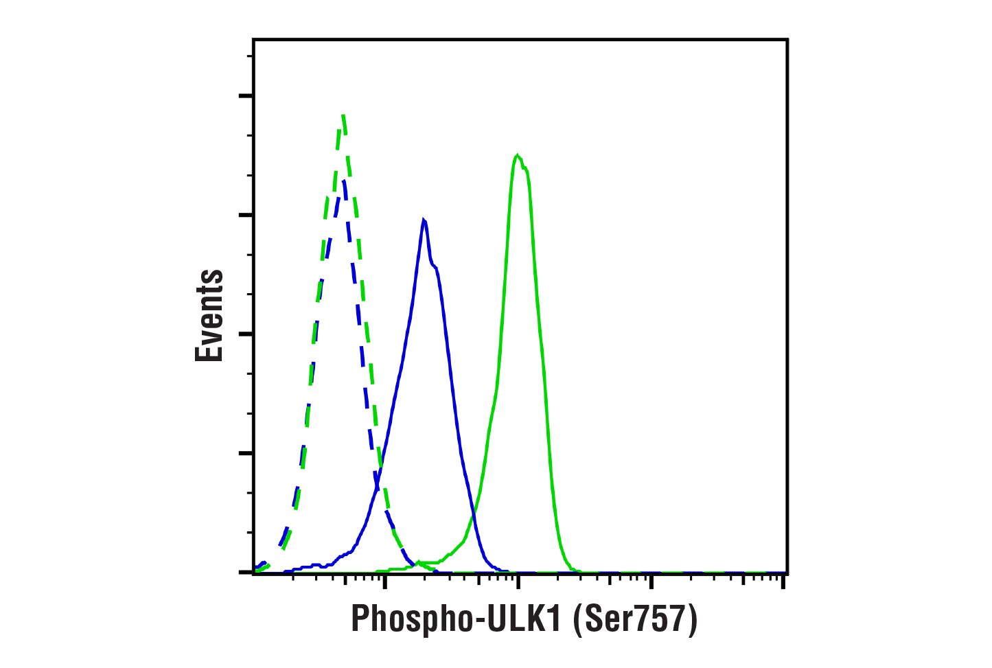 Image 9: PhosphoPlus® ULK1 (Ser757) Antibody Duet