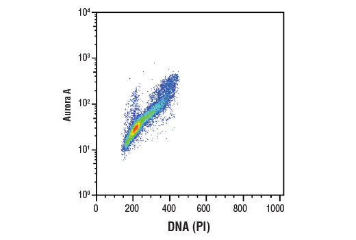 Flow Cytometry Image 1: Aurora A (D3E4Q) Rabbit mAb