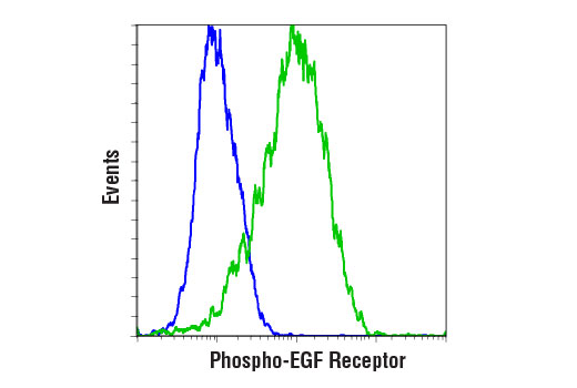 Flow Cytometry Image 1: Phospho-EGF Receptor (Tyr1068) (D7A5) XP® Rabbit mAb (PE Conjugate)