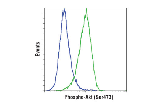 Flow Cytometry Image 1: Anti-Rabbit IgG (H+L), (PE Conjugate)