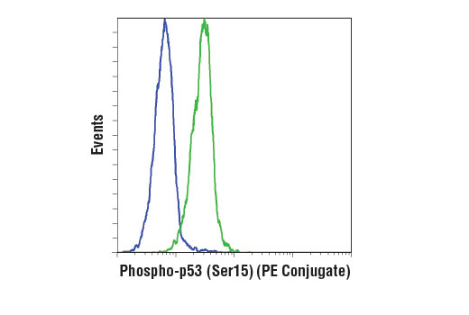 Flow Cytometry Image 1: Phospho-p53 (Ser15) (D4S1H) XP® Rabbit mAb (Rodent Specific) (PE Conjugate)