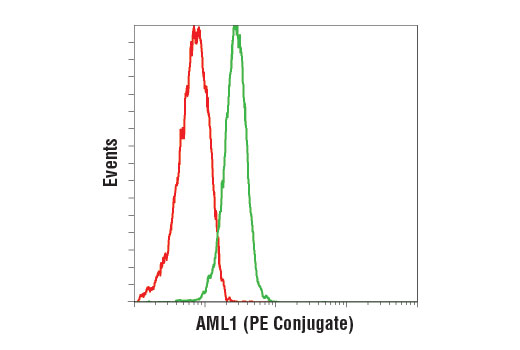 Flow Cytometry Image 1: AML1 (D33G6) XP® Rabbit mAb (PE Conjugate)