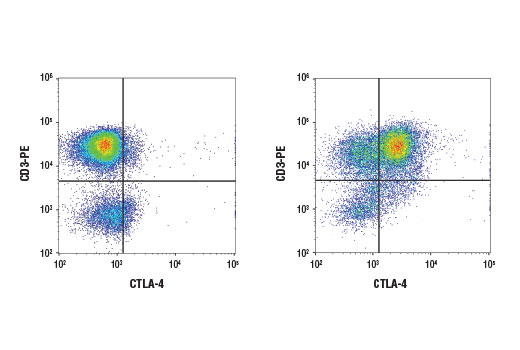 Flow Cytometry Image 2: CTLA-4 (D4E9I) Rabbit mAb