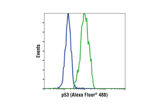 Flow Cytometry Image 1: p53 (1C12) Mouse mAb (Alexa Fluor® 488 Conjugate)