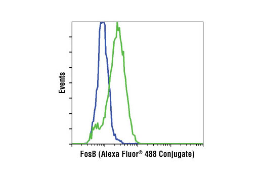 Flow Cytometry Image 1: FosB (5G4) Rabbit mAb (Alexa Fluor® 488 Conjugate)