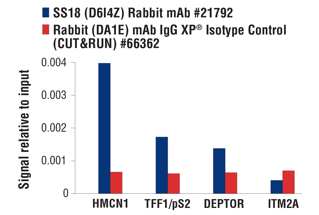  Image 78: BAF Complex IHC Antibody Sampler Kit