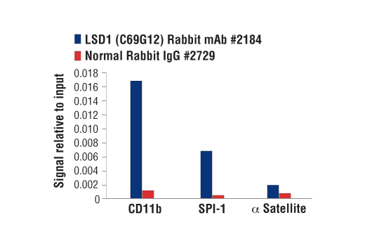 Chromatin Immunoprecipitation Image 1: LSD1 (C69G12) Rabbit mAb