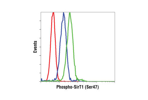 Flow Cytometry Image 1: Phospho-SirT1 (Ser47) Antibody