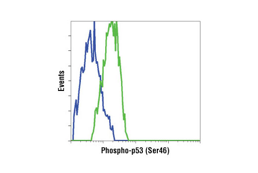 Flow Cytometry Image 1: Phospho-p53 (Ser46) Antibody