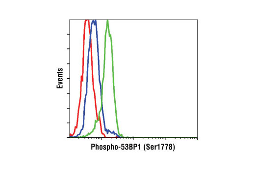 Flow Cytometry Image 1: Phospho-53BP1 (Ser1778) Antibody