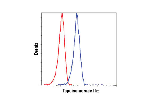 Flow Cytometry Image 1: Topoisomerase IIα (D10G9) XP® Rabbit mAb (BSA and Azide Free)