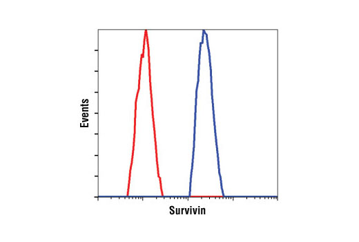 Flow Cytometry Image 1: Survivin (71G4B7) Rabbit mAb