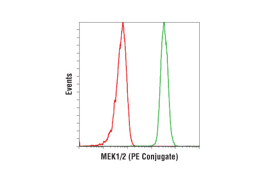 Flow Cytometry Image 1: MEK1/2 (D1A5) Rabbit mAb (PE Conjugate)