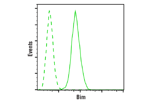 Flow Cytometry Image 2: Bim (C34C5) Rabbit mAb