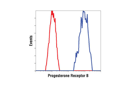 Flow Cytometry Image 1: Progesterone Receptor B (C1A2) Rabbit mAb