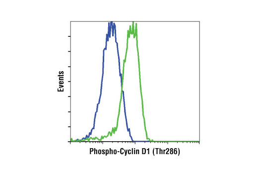 Flow Cytometry Image 1: Phospho-Cyclin D1 (Thr286) (D29B3) XP® Rabbit mAb