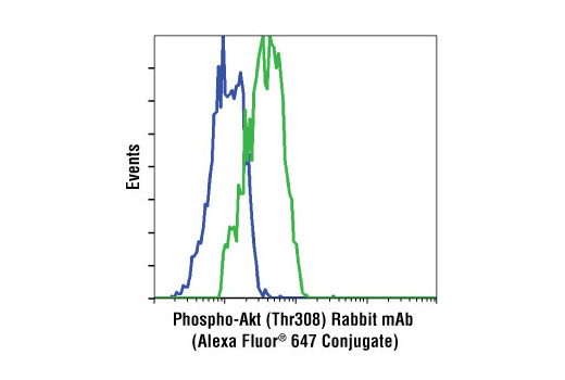 Flow Cytometry Image 1: Phospho-Akt (Thr308) (C31E5E) Rabbit mAb (Alexa Fluor® 647 Conjugate)