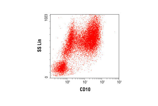 Flow Cytometry Image 1: CD10 (CB-CALLA) Mouse mAb