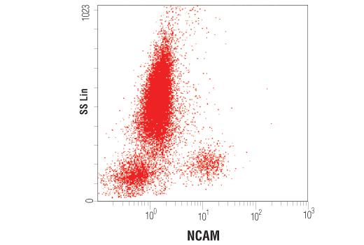 Flow Cytometry Image 1: NCAM1 (CD56) (123C3) Mouse mAb