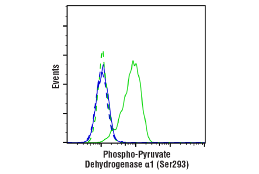Flow Cytometry Image 1: Phospho-Pyruvate Dehydrogenase α1 (Ser293) (E4V9L) Rabbit mAb