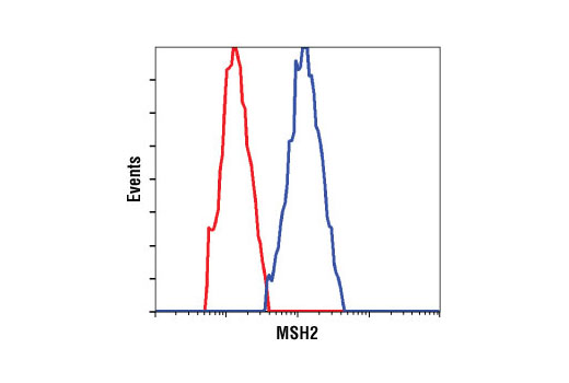 Flow Cytometry Image 1: MSH2 (D24B5) XP® Rabbit mAb (BSA and Azide Free)