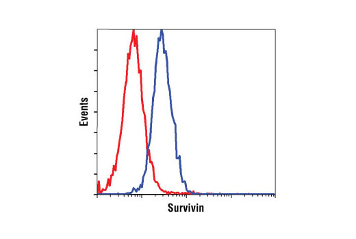 Flow Cytometry Image 1: Survivin (71G4B7) Rabbit mAb (Biotinylated)