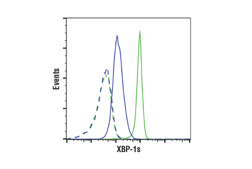 Flow Cytometry Image 1: XBP-1s (E9V3E) Rabbit mAb