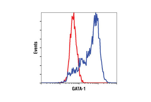 Flow Cytometry Image 1: GATA-1 (D52H6) XP® Rabbit mAb (BSA and Azide Free)