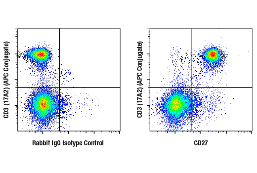 Flow Cytometry Image 1: CD27 (E5E7H) Rabbit mAb (BSA and Azide Free)